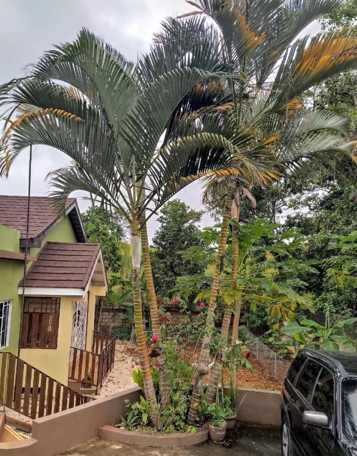Gables Vacation Rentals With Private Gated Parking Onsite Knockpatrick Kültér fotó